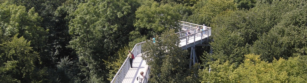 Solid hot-dip galvanized steel girders hold the wooden plank pathway of canopy walkway, Hainich/Germany